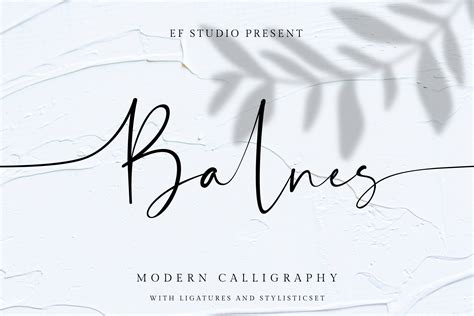 Balnes Modern Calligraphy Font Signature Font Canva Font Etsy