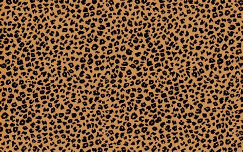 Cheetah Backgrounds Wallpaper Cave