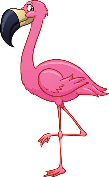 Cartoon Pink Flamingo Illustrations Royalty Free Vector Graphics