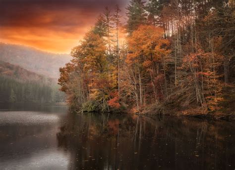 Lake Logan Nature Photography Landscape Lake