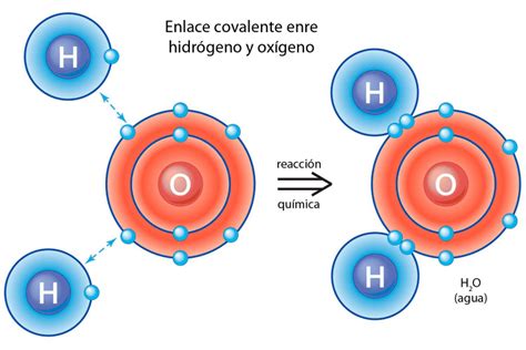 ¿qué Diferencia Los Compuestos Iónicos Y Los Covalentes O Moleculares