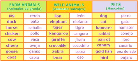 Aprende Inglés Cómo Describir Animales En Inglés