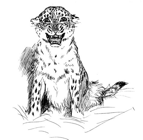 Free printable cheetah coloring pages and download free cheetah coloring pages along with coloring pages for other activities and coloring sheets. Free Leopard Coloring Pages