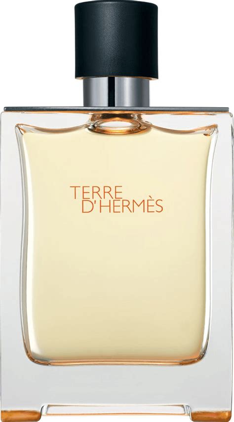 Hermès Terre Dhermès Eau De Toilette 200 Ml Au Meilleur Prix Sur