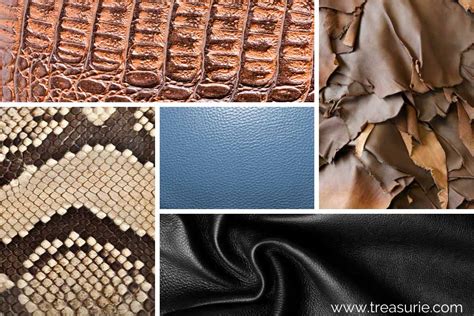 Types Of Leather Buying Leather Guide Treasurie