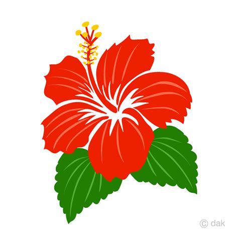 Hibiscus Clipart Red Pictures On Cliparts Pub 2020 🔝