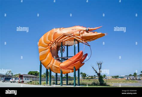 The Big Prawn Australia Hi Res Stock Photography And Images Alamy