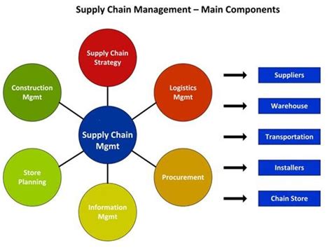 5 Components Of Supply Chain Management Infographic Meaningfulwomen Com