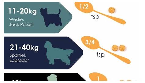 Turmeric For Dogs Dosage Chart