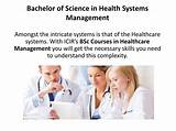 Bachelor Of Science Management Images