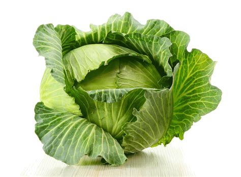 Cabbage Png Transparent Images Pictures Photos Png Arts