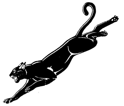 Carolina Panther Clipart Free Download On Clipartmag