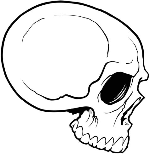Simple Skull Drawing At Explore Collection Of