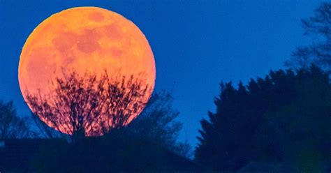 Supermoon To Light Up Night Skies Later This Month In Biggest Lunar