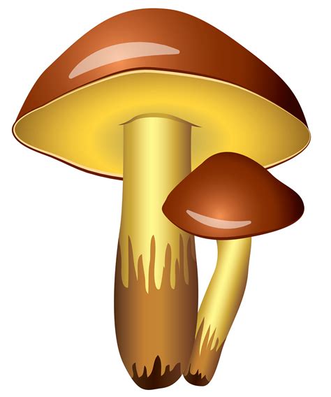 Mushroom Icon Clip Art Mushrooms Transparent Png Clipart Picture Png