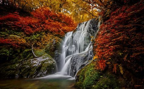 Beautiful Forest Foliage Waterfall Colors Cascades Water Leaves