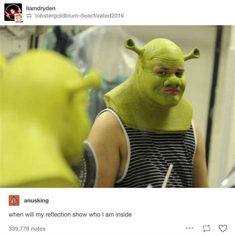 Funny Shrek Memes Clean