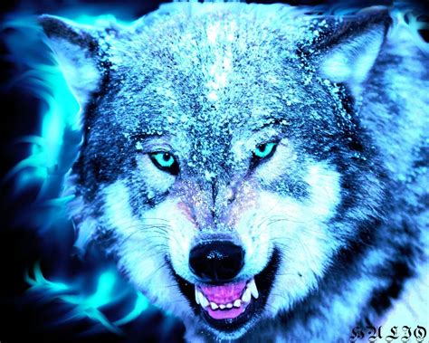 Cool Blue Wolf Wallpapers On Wallpaperdog