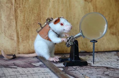 55 Best Images About Rats Love Steampunk On Pinterest Armors Steam