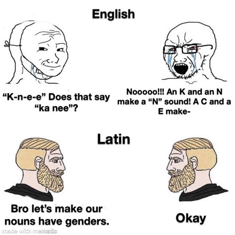 Language Memes Anyone Rhistorymemes