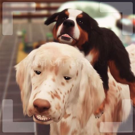 Pin By Justicygamming23 On Ts4 Poses Sims 4 Pets Dog Poses Puppy Pose