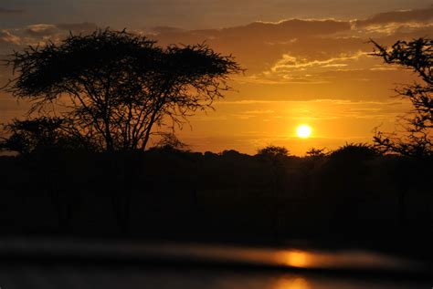Serengeti National Park Tanzania Africa Serengeti National Park