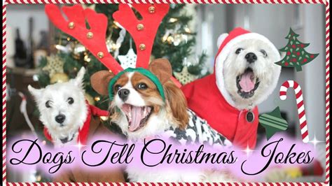 Dogs Telling Christmas Jokes Cute Funny Holiday Puppies