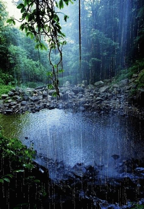 Beautiful Forest Scene With Rain Falling Over The Water I Love Rain