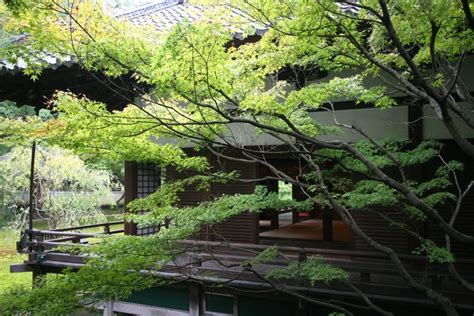 The Shoren In Temple In Kyoto A Haven Of Peace Discovering Tea