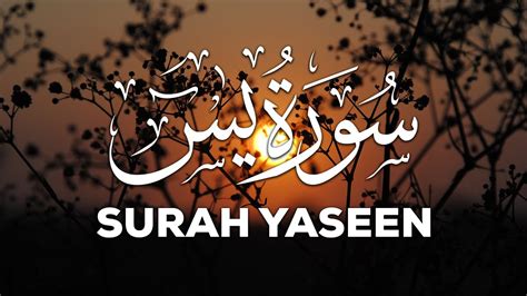 Surah Yasin Yaseen By Mishary Rashid Alafasy 036 سورۃ یس Full