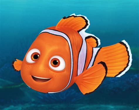 Top 5 Fish From Finding Nemo That Would Taste Great With Cilantro