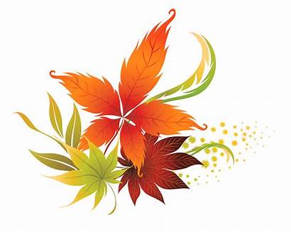 Autumn Clipart Colours Fall Clip Leaves Collections
