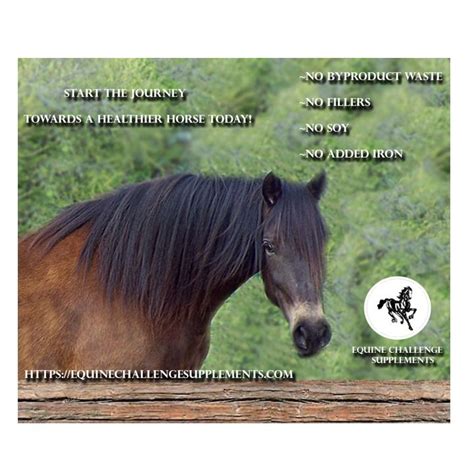 Searching for best horse supplements? Equine Challenge Supplements For Horses | Horse ...