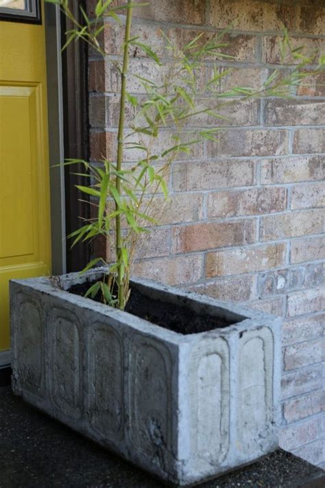 Concrete certainly is having a moment. How to make your own concrete planter | The Owner-Builder ...