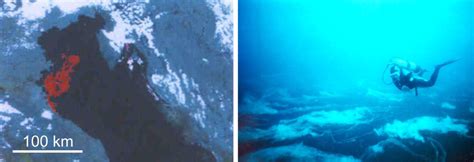 Effects of climate change in the mediterranean sea. Marine Drugs | Free Full-Text | Polymer Networks Produced ...