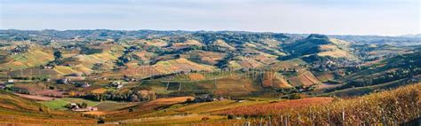 Langhe Vineyards Hills Panoramic Autumn Landscape Viticulture Piedmont
