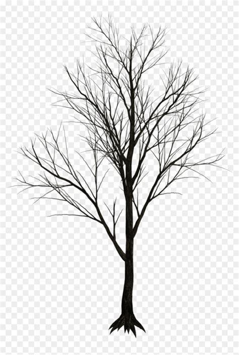Free Free Illustrations On Pixabay Dry Tree Png Nohatcc