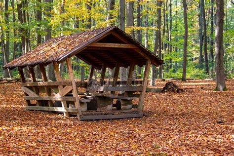 Lonely Wooden Shelter In A Forest Stock Photo Image Of Summer Travel