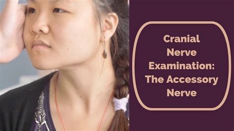 Cranial Nerve Examination Cn 11 Spinal Accessory Nerve Youtube