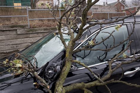 High Winds Cause Havoc In Guelph 22 Photos Guelph News