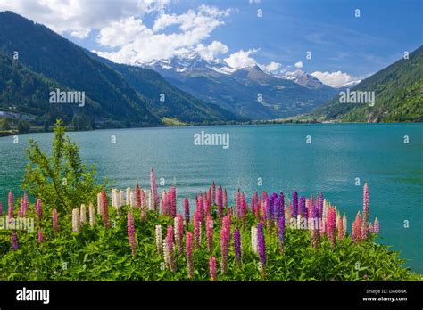 Lago Poschiavo Posciavo Canton Gr Graubünden Grisons Lake Lakes