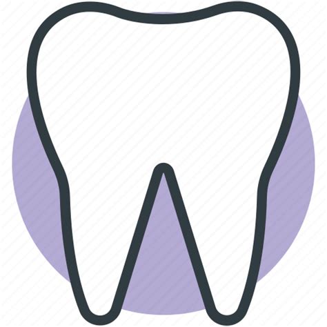 Healthy Teeth Human Tooth Molar Molar Teeth Tooth Icon