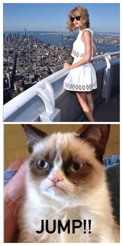 Pin By Fun On Img On Life Funny Grumpy Cat Memes Grumpy Cat Humor