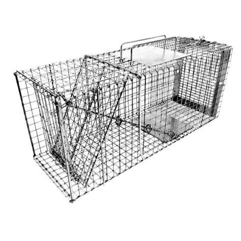 There are plenty of exceptional tenants who want to live with their cats in a rental property. Tomahawk Live Trap Collapsible Neighborhood Cat Trap ...