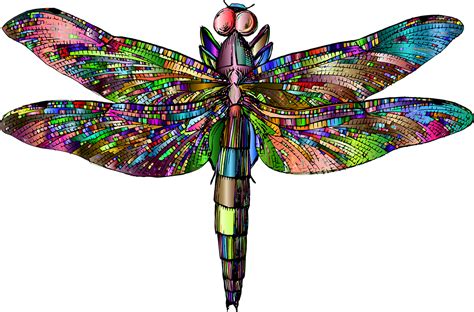 Colorful Dragonfly Art And Collectibles Painting Imghospital