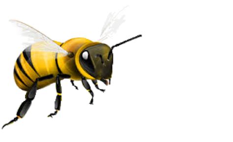 Flying Honey Bee Transparent Background Png Mart