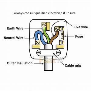 2 Pin Plug Wiring Diagram