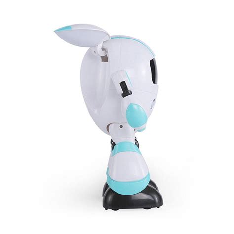 Jjrc R14 Smart Remote Control Robot Toy Gearvita