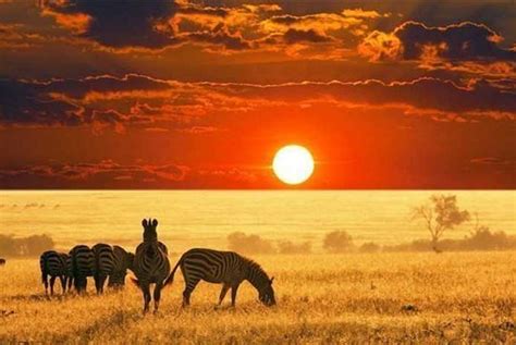 7 Gems Of Experiences To Adorn Your South Africa Tour