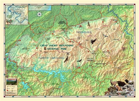 Great Smoky Mountains National Park Wall Map